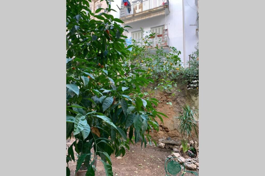 Quiet And Central Flat With Private Backyard Garden Αθήνα Εξωτερικό φωτογραφία