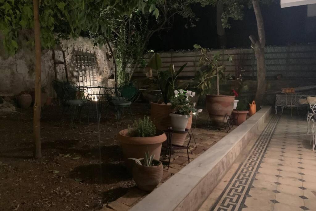 Quiet And Central Flat With Private Backyard Garden Αθήνα Εξωτερικό φωτογραφία