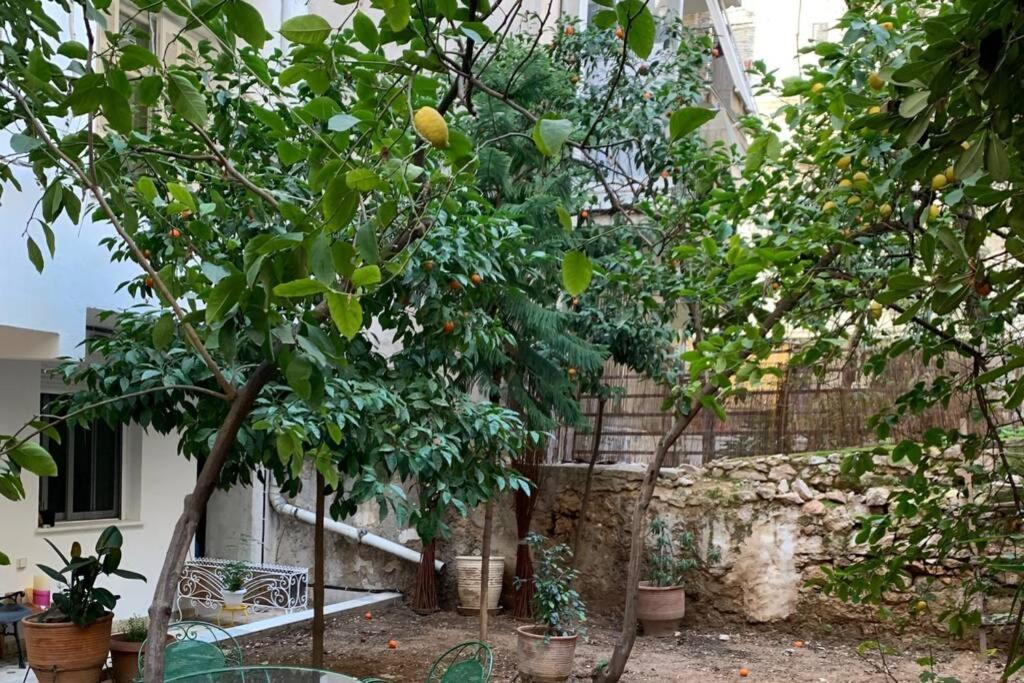 Quiet And Central Flat With Private Backyard Garden Αθήνα Εξωτερικό φωτογραφία